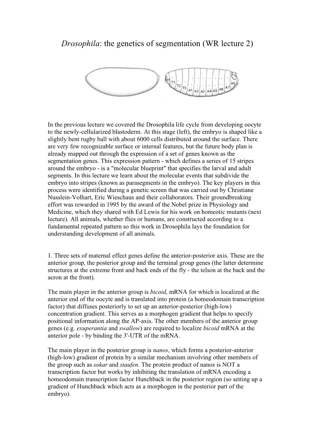 Drosophila: the Genetics of Segmentation (WR Lecture 2)