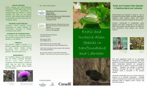 Exotic and Invasive Alien Species in Newfoundland and Labrador