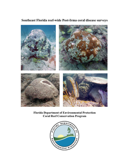 Southeast Florida Reef-Wide Post-Irma Coral Disease Surveys