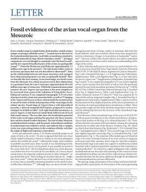 Fossil Evidence of the Avian Vocal Organ from the Mesozoic (PDF)