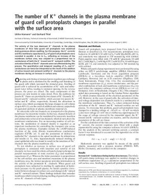 The Number of K Channels in the Plasma Membrane of Guard Cell Protoplasts Changes in Parallel with the Surface Area