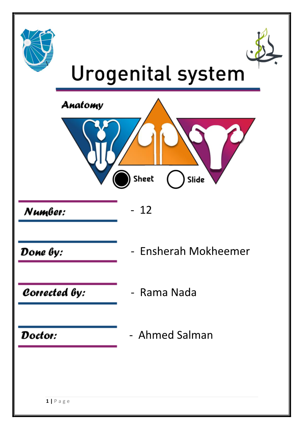 Internal Pudendal Artery (Course and Relation)