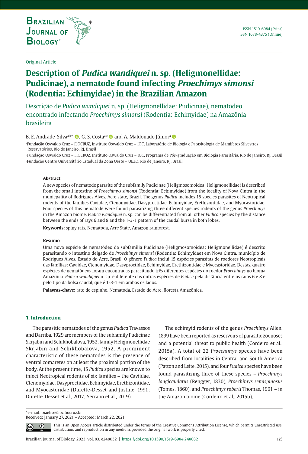 Description of Pudica Wandiquei N. Sp. (Heligmonellidae: Pudicinae)