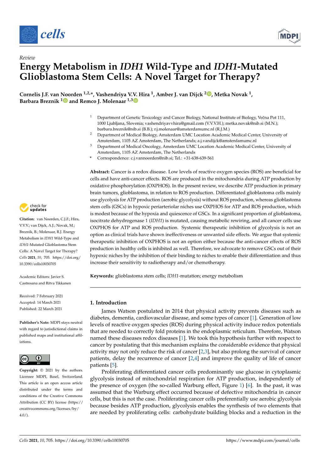 Energy Metabolism in IDH1 Wild-Type and IDH1-Mutated Glioblastoma Stem Cells: a Novel Target for Therapy?