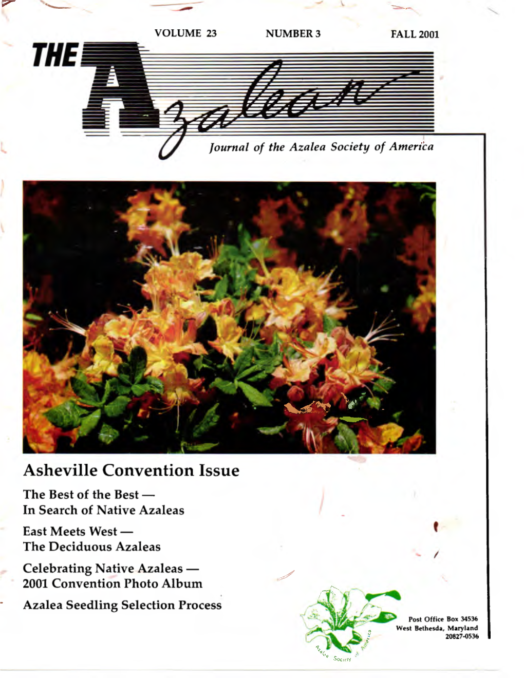 Asheville Convention Issue