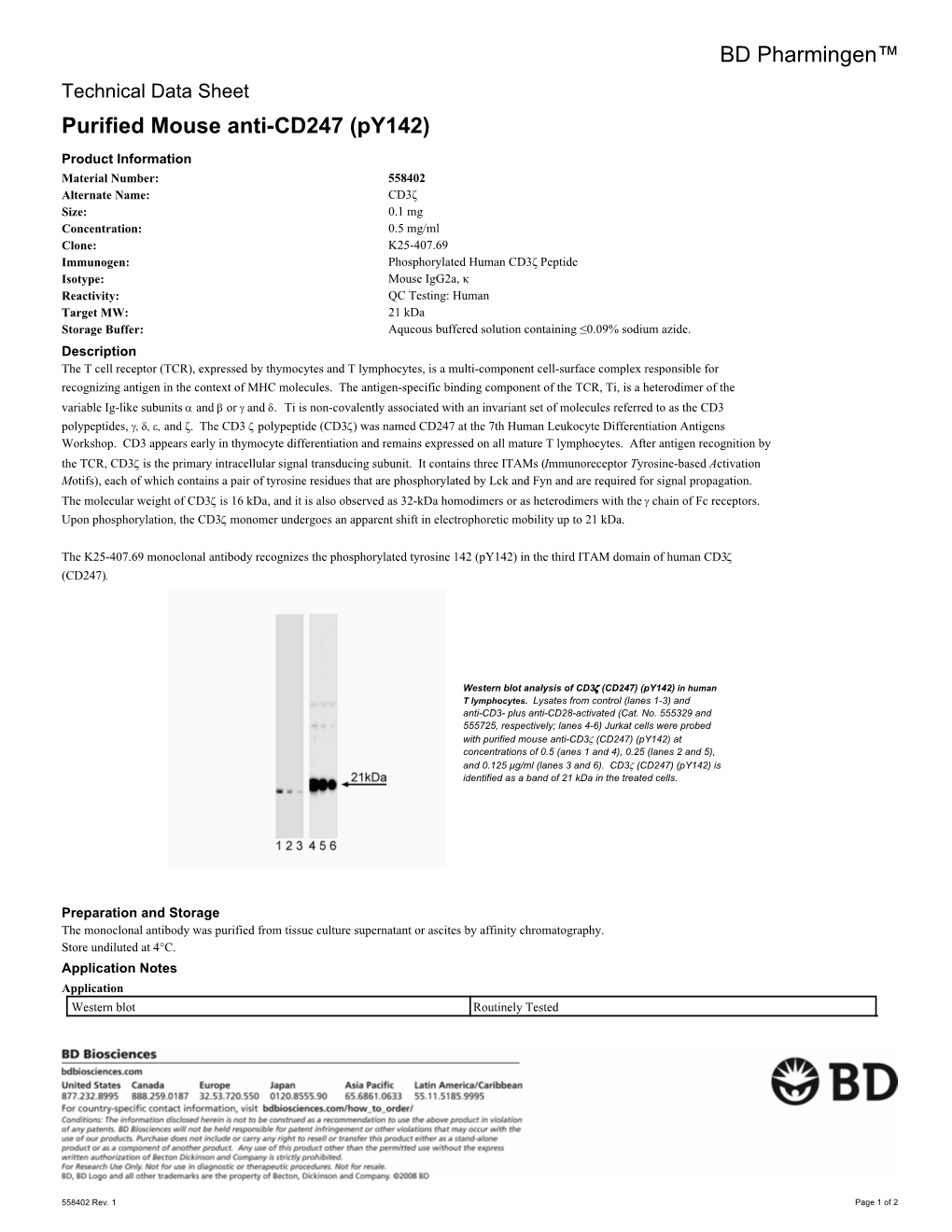 BD Pharmingen™ Purified Mouse Anti-CD247 (Py142)