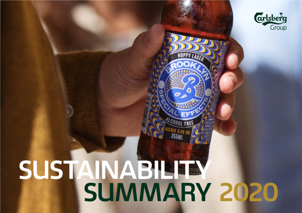 SUSTAINABILITY SUMMARY 2020 Introduction