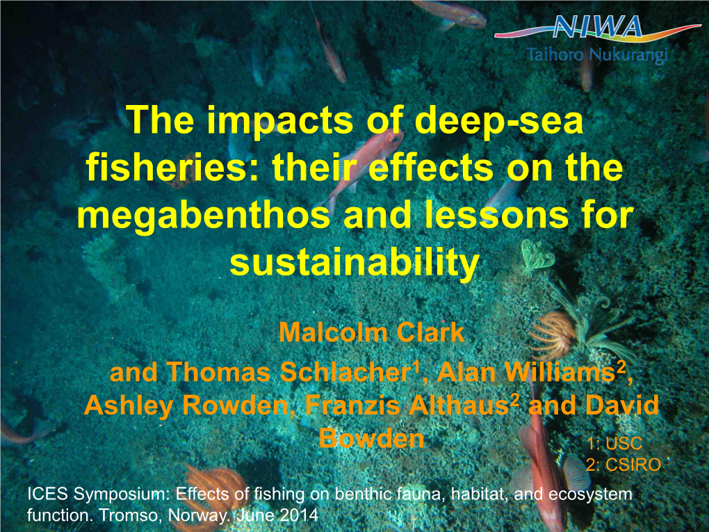 The Impacts of Deep-Sea Fisheries: Their Effects on the Megabenthos and Lessons for Sustainability