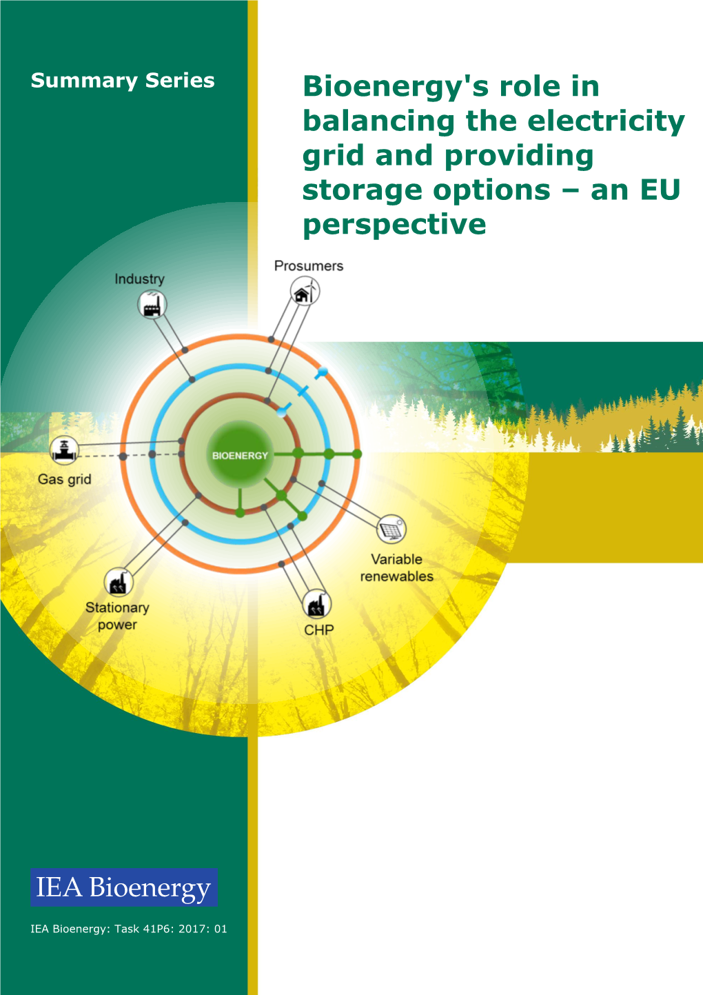 Bioenergy's Role in Balancing the Electricity Grid and Providing Storage Options – an EU Perspective