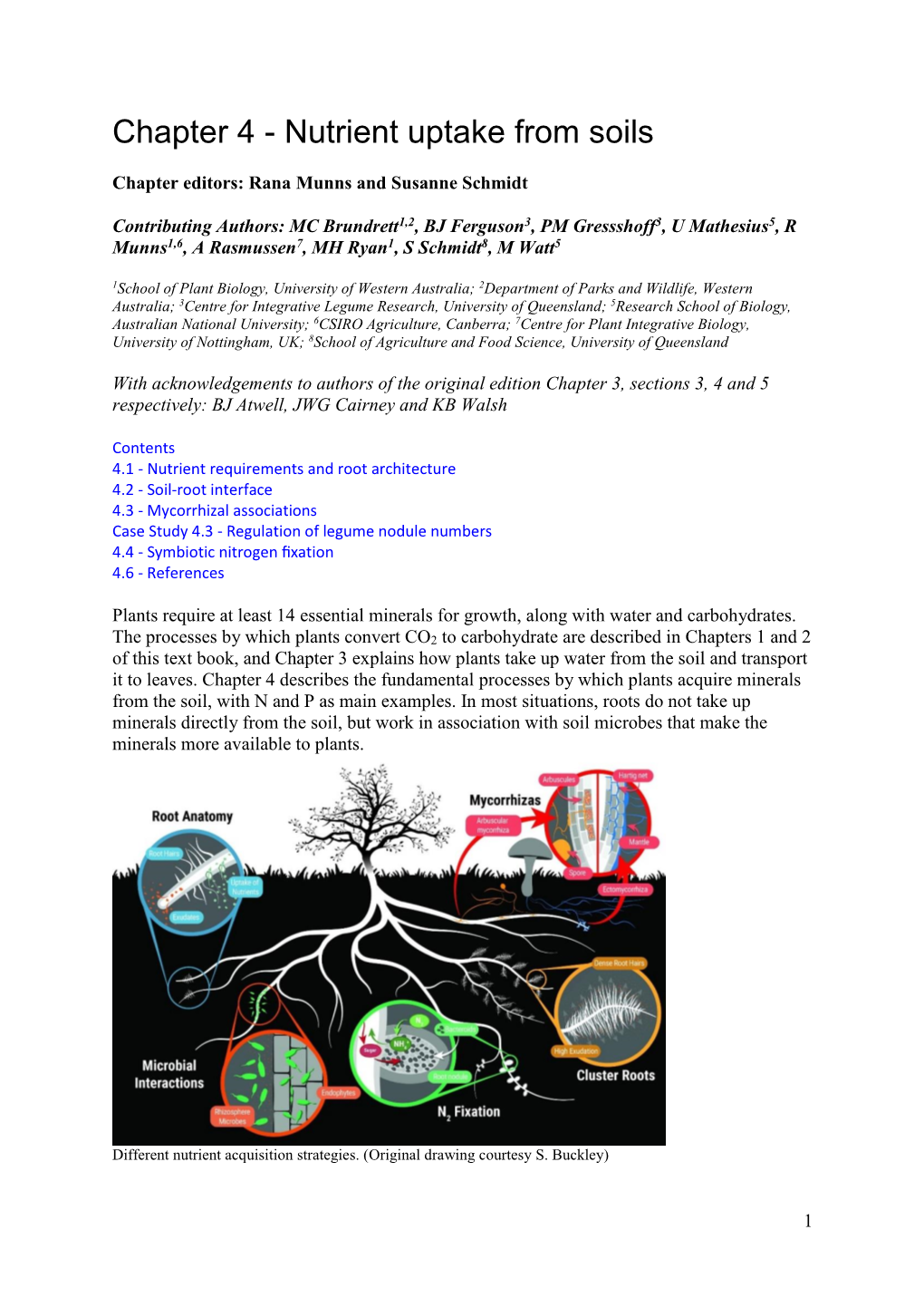 Nutrient Uptake from Soils