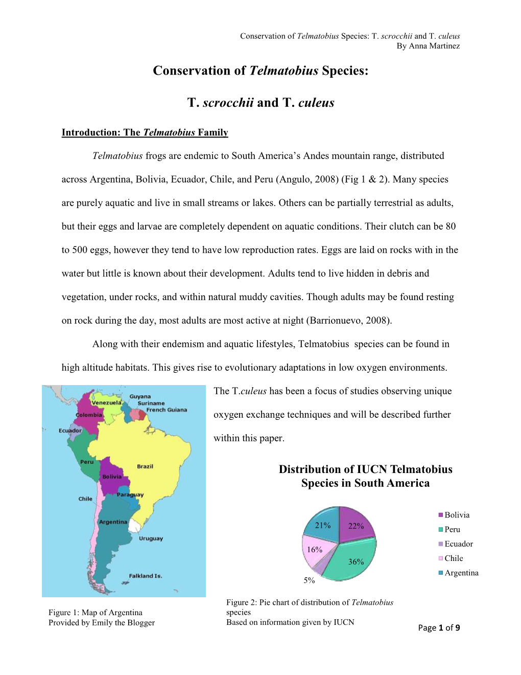 Conservation of Telmatobius Species: T. Scrocchii and T. Culeus by Anna Martinez