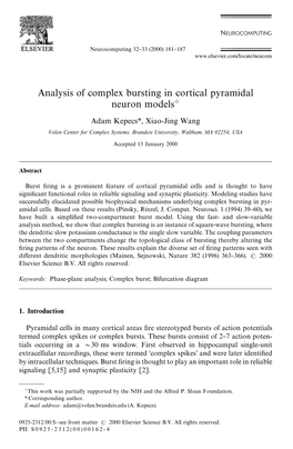 Analysis of Complex Bursting in Cortical Pyramidal Neuron Modelsଝ