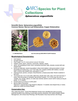 Species Description for Plant Collection