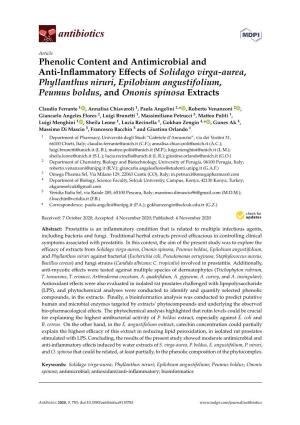 Phenolic Content and Antimicrobial and Anti-Inflammatory Effects of Solidago Virga-Aurea, Phyllanthus Niruri, Epilobium Angustif