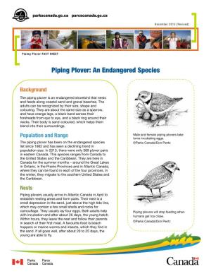 Piping Plover: an Endangered Species