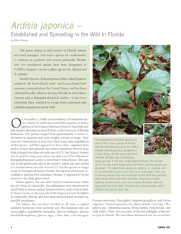 Ardisia Japonica – Established and Spreading in the Wild in Florida by Robert Simons