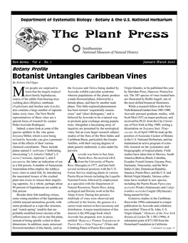 2003 Vol. 6, Issue 1