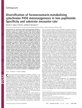 Diversification of Furanocoumarin-Metabolizing Cytochrome P450 Monooxygenases in Two Papilionids: Specificity and Substrate Encounter Rate