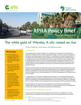 APRA Policy Brief 24 the White Gold of Wereta