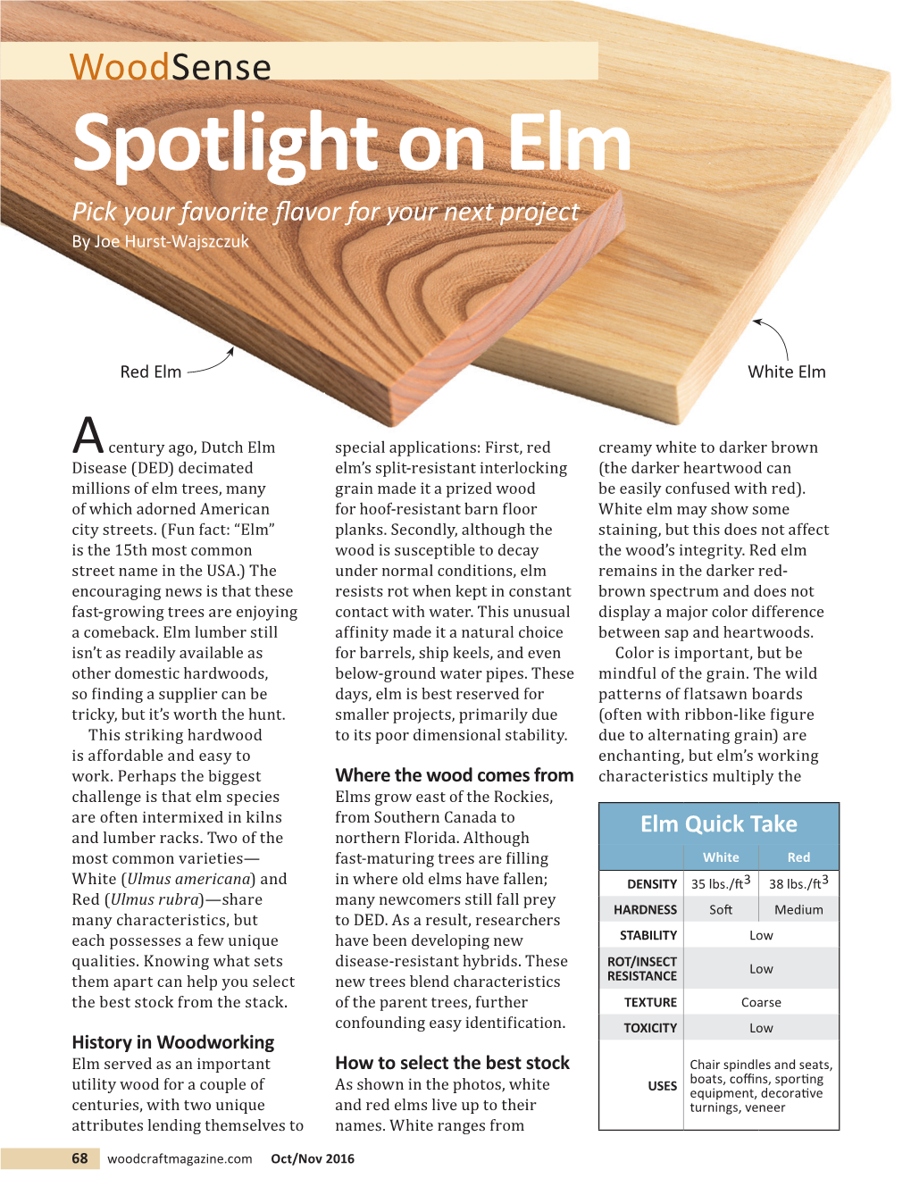 Spotlight on Elm Pick Your Favorite ﬂ Avor for Your Next Project by Joe Hurst-Wajszczuk