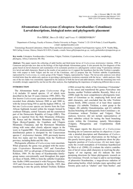 Coleoptera: Scarabaeidae: Cetoniinae): Larval Descriptions, Biological Notes and Phylogenetic Placement