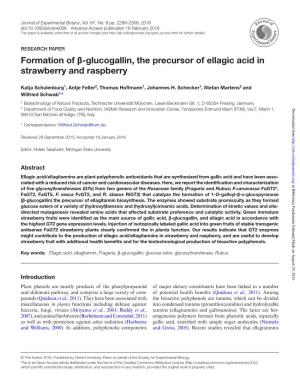 Formation of Β-Glucogallin, the Precursor of Ellagic Acid in Strawberry and Raspberry