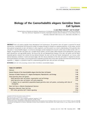 Biology of the Caenorhabditis Elegans Germline Stem Cell System