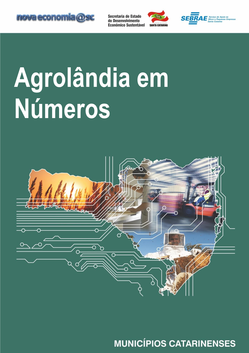 Agrolândia Em Números