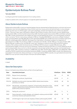 Blueprint Genetics Epidermolysis Bullosa Panel