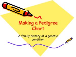 Making a Pedigree Chart