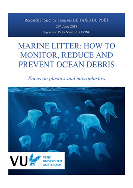 Marine Litter: How to Reduce and Prevent