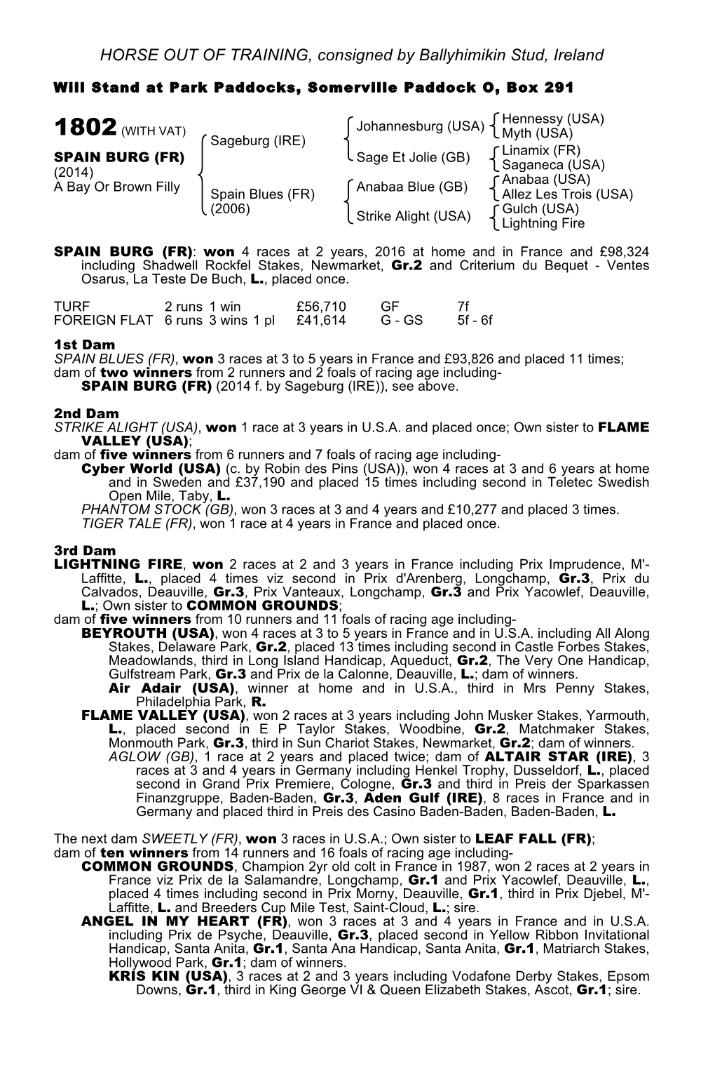 HORSE out of TRAINING, Consigned by Ballyhimikin Stud, Ireland