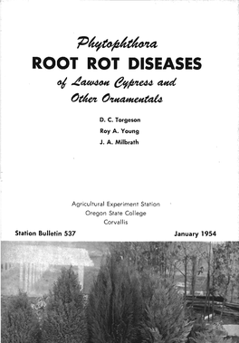 Root Rot Diseases