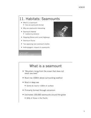 Seamounts  What Is a Seamount  How Are Seamounts Formed