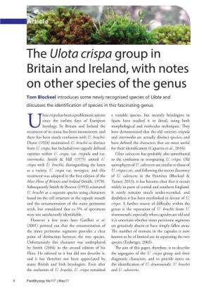 The Ulota Crispa Group in Britain and Ireland, with Notes on Other Species of the Genus