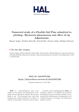 Numerical Study of a Flexible Sail Plan Submitted To