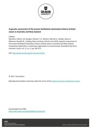 A Genetic Assessment of the Human-Facilitated Colonization History of Black Swans in Australia and New Zealand