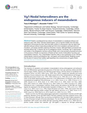 Vg1-Nodal Heterodimers Are the Endogenous Inducers of Mesendoderm Tessa G Montague1*, Alexander F Schier1,2,3,4,5*