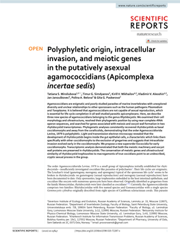 Polyphyletic Origin, Intracellular Invasion, and Meiotic Genes in the Putatively Asexual Agamococcidians (Apicomplexa Incertae Sedis) Tatiana S
