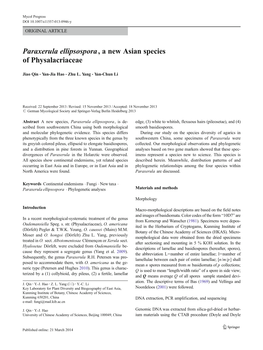 Paraxerula Ellipsospora, a New Asian Species of Physalacriaceae