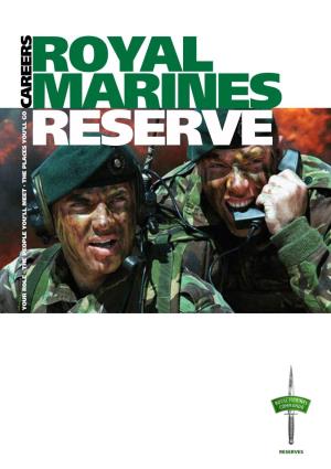 Royal Marines Reserve and the Career Opportunities the Royal Navy You’Re Probably Available to You