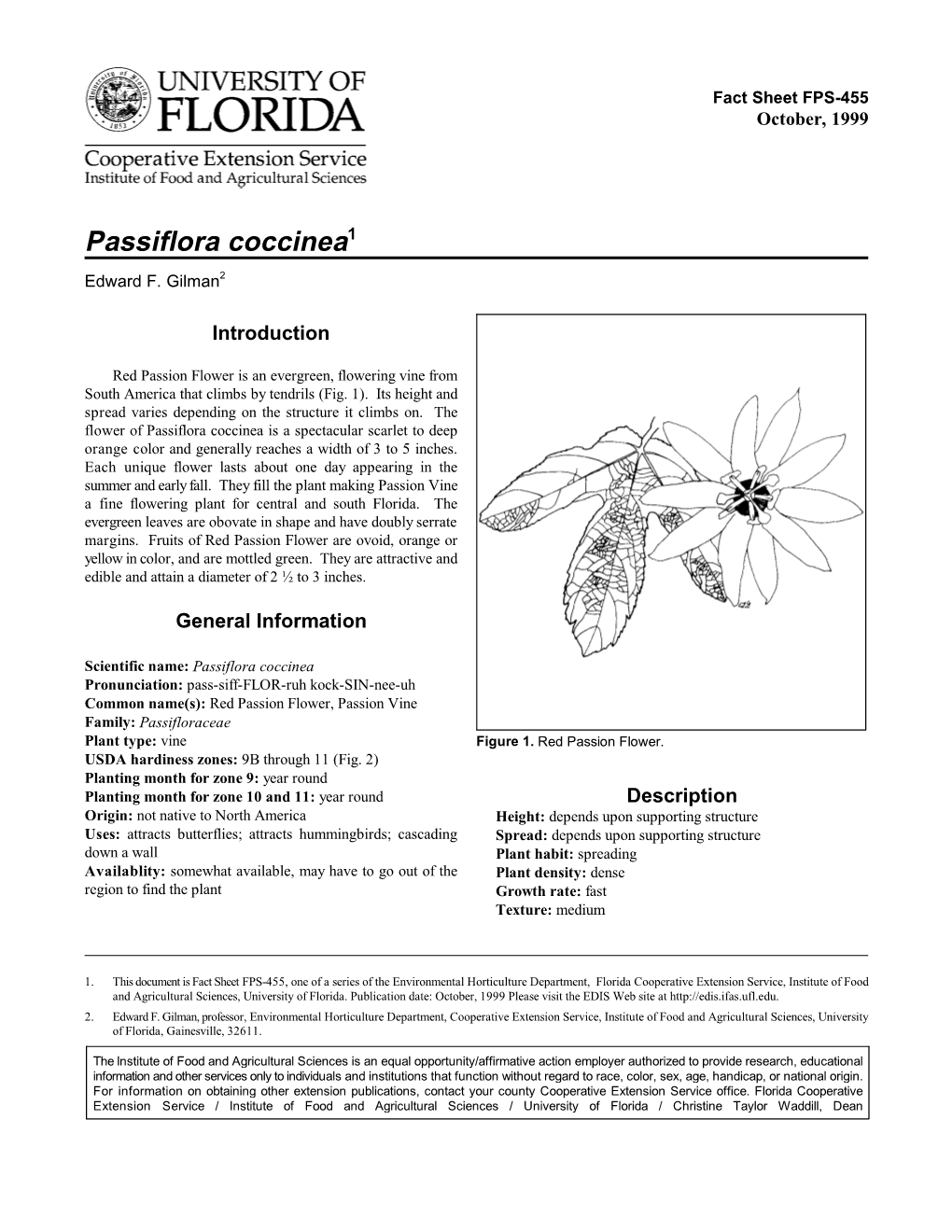 Passiflora Coccinea -- Red Passion Flower Page 2