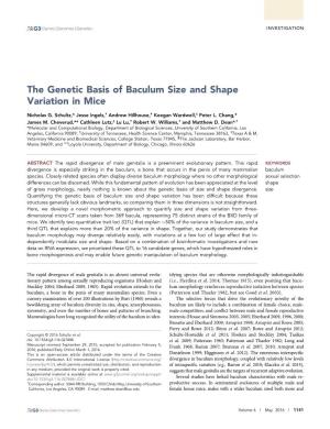 The Genetic Basis of Baculum Size and Shape Variation in Mice