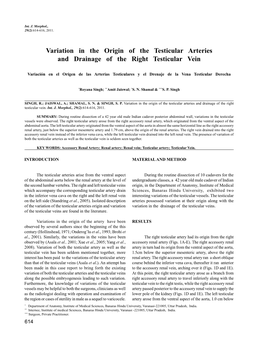Variation in the Origin of the Testicular Arteries and Drainage of the Right Testicular Vein