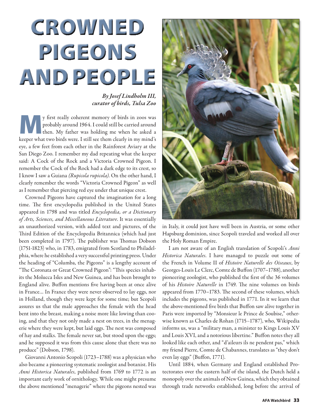 CROWNED PIGEONS and PEOPLE by Josef Lindholm III, Curator of Birds, Tulsa Zoo