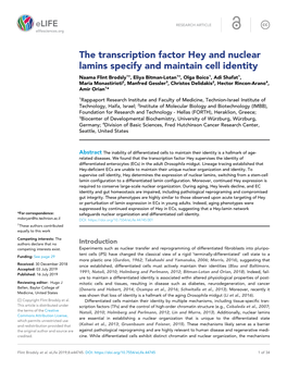 The Transcription Factor Hey and Nuclear Lamins Specify and Maintain
