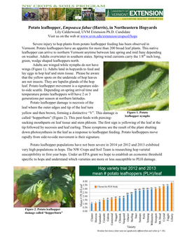 Potato Leafhopper, Empoasca Fabae (Harris), in Northeastern Hopyards Lily Calderwood, UVM Extension Ph.D