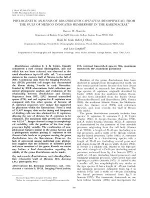 Phylogenetic Analysis of Brachidinium Capitatum (Dinophyceae) from the Gulf of Mexico Indicates Membership in the Kareniaceae1