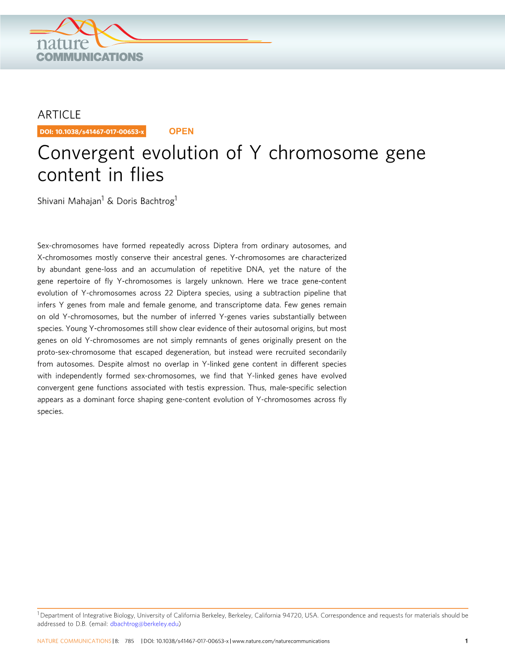 Convergent Evolution of Y Chromosome Gene Content in Flies