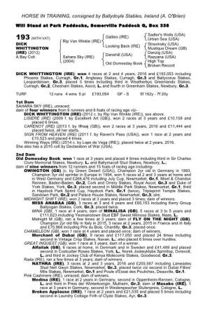 HORSE in TRAINING, Consigned by Ballydoyle Stables, Ireland (A
